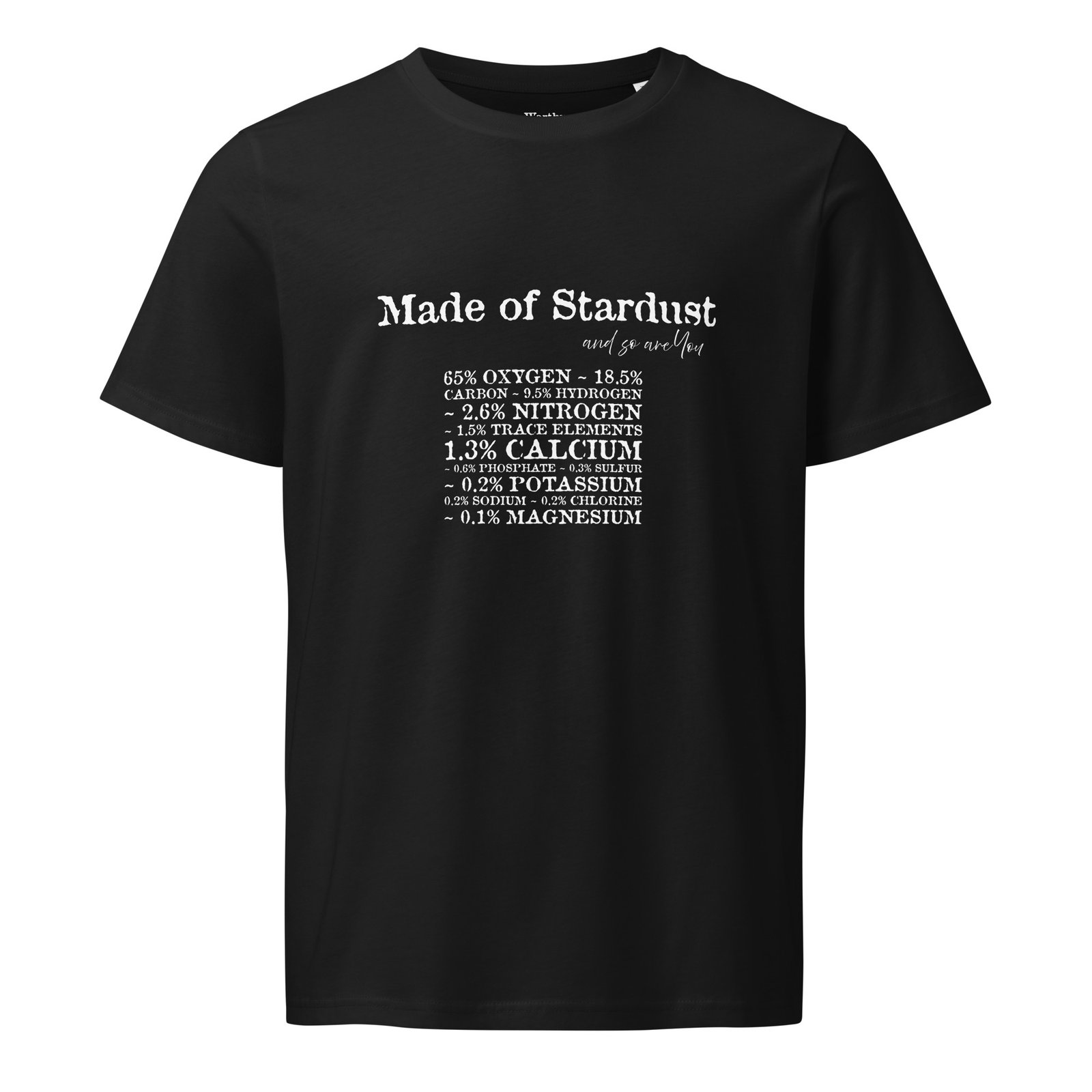 unisex-organic-mid-light-t-shirt-black-front-690ae92fd5bc4.jpg